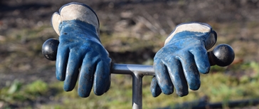 Adviseur Ecologie - Met Ervaring (Medior)