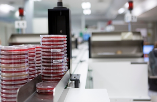 Stage Infectiepreventie